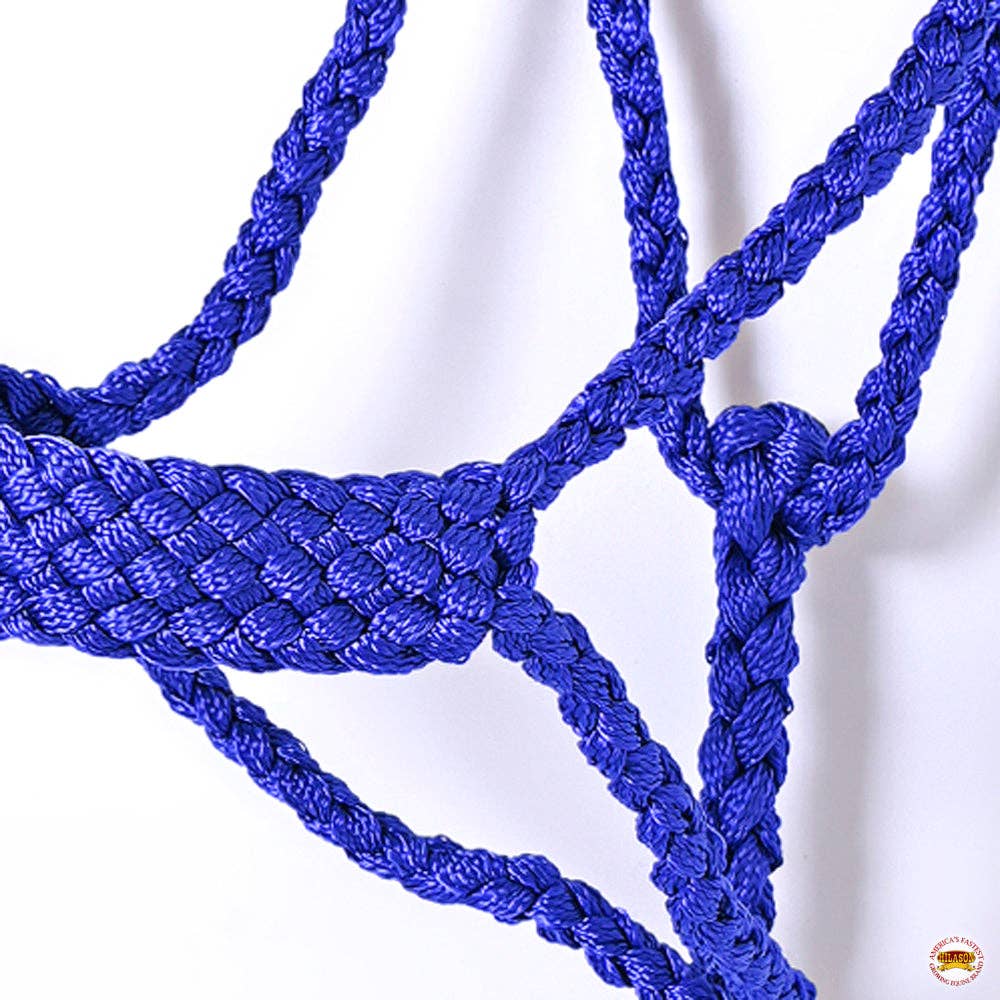 9 Ft Nylon Poly Flat Braided Mule Tape Halter And Lead Rope: Turquoise