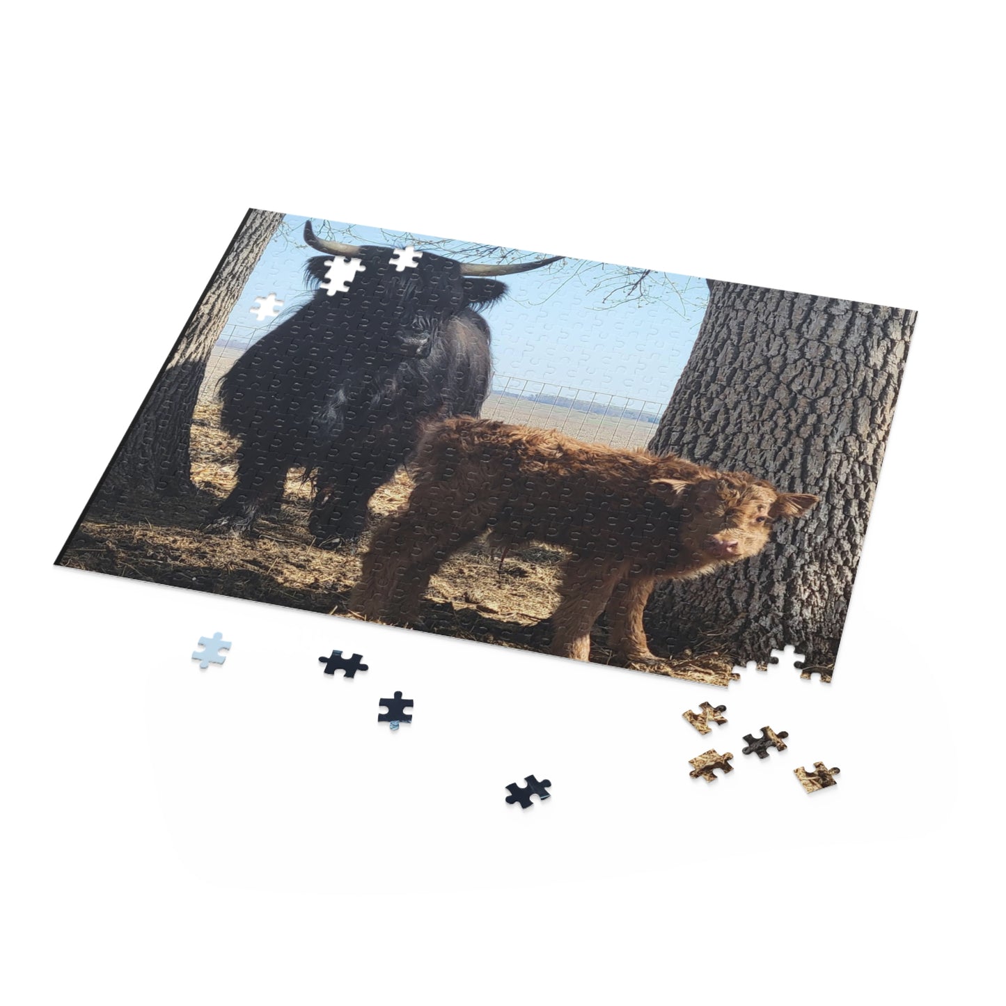 Puzzle (120, 252, 500-Piece)