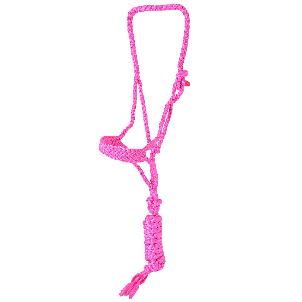 9 Ft Nylon Poly Flat Braided Mule Tape Halter And Lead Rope: Turquoise