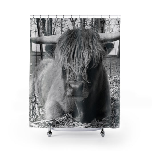 Highland Bull Shower Curtain