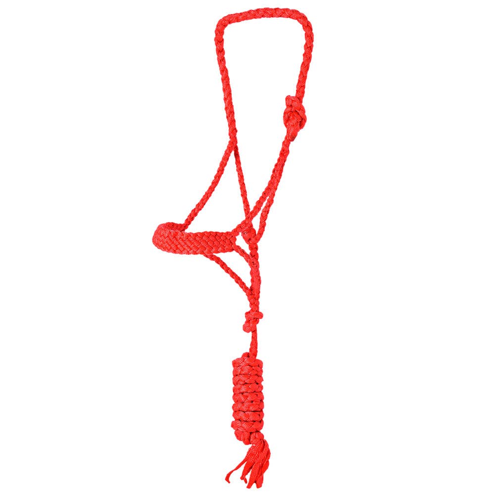 9 Ft Nylon Poly Flat Braided Mule Tape Halter And Lead Rope: Turquoise