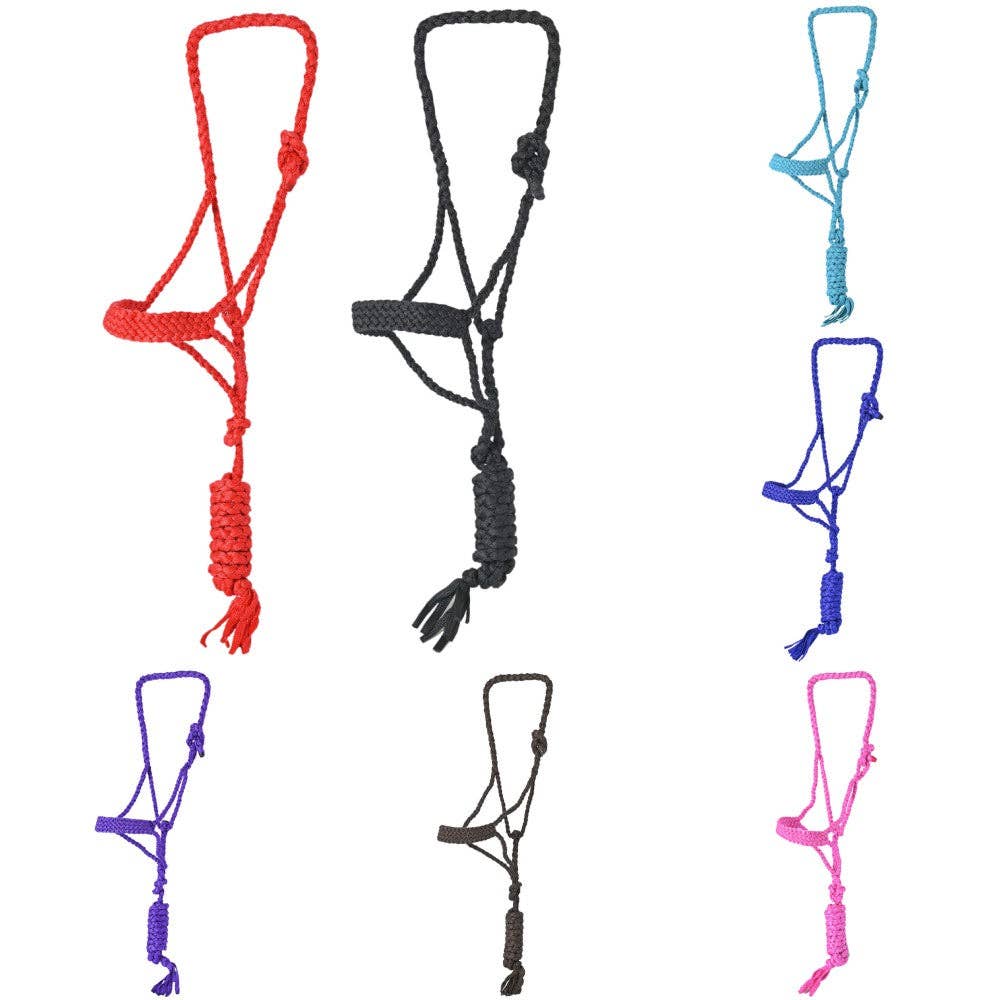 9 Ft Nylon Poly Flat Braided Mule Tape Halter And Lead Rope: Turquoise
