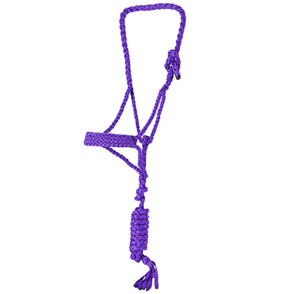 9 Ft Nylon Poly Flat Braided Mule Tape Halter And Lead Rope: Turquoise
