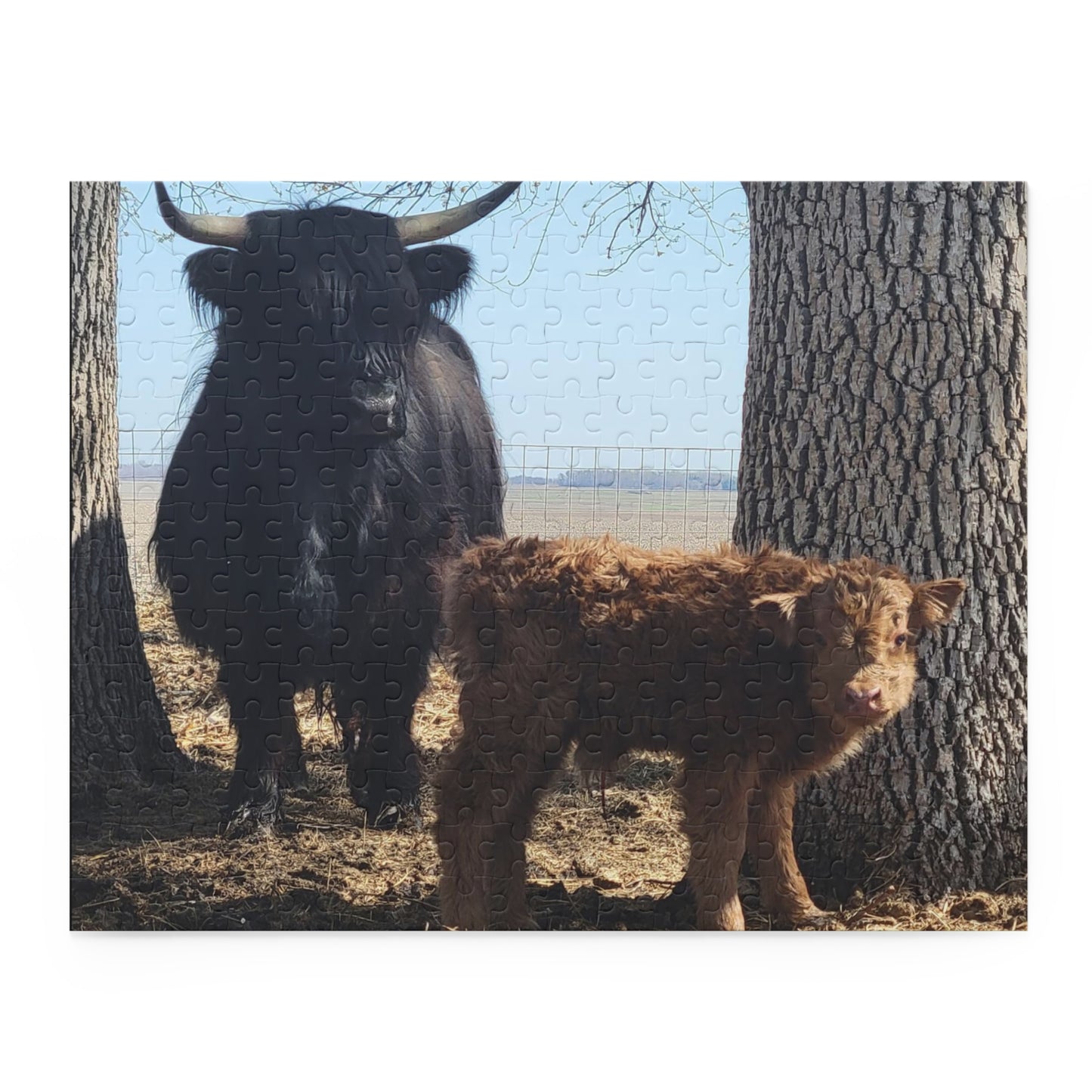 Puzzle (120, 252, 500-Piece)