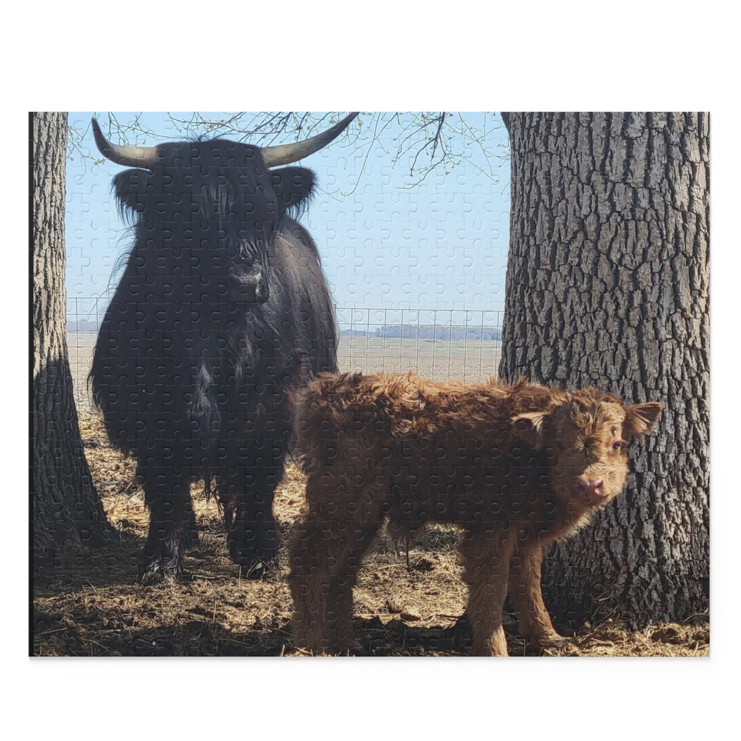Puzzle (120, 252, 500-Piece)