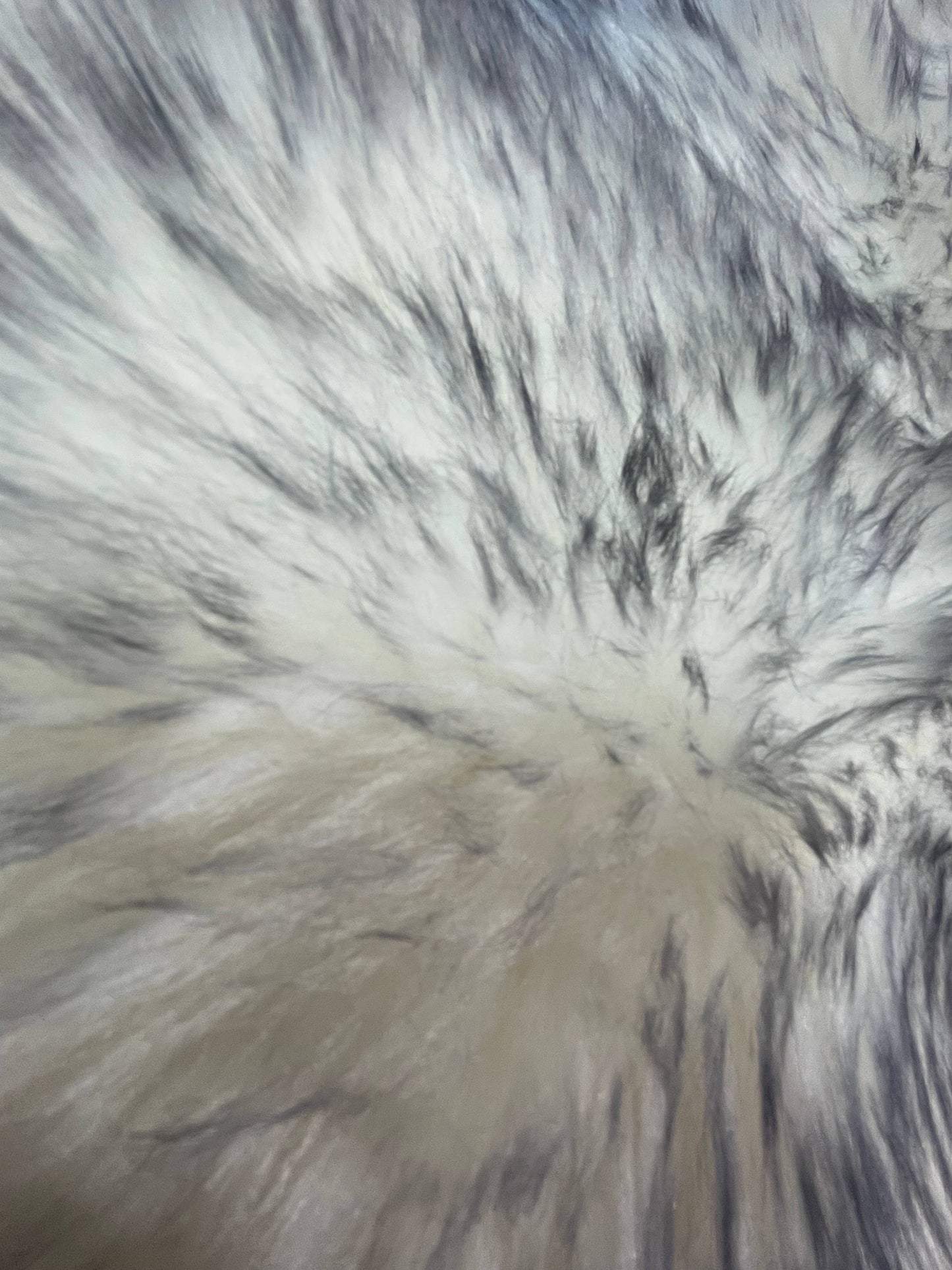 Sheepskin Rug: Wolf / Single (2'x3')