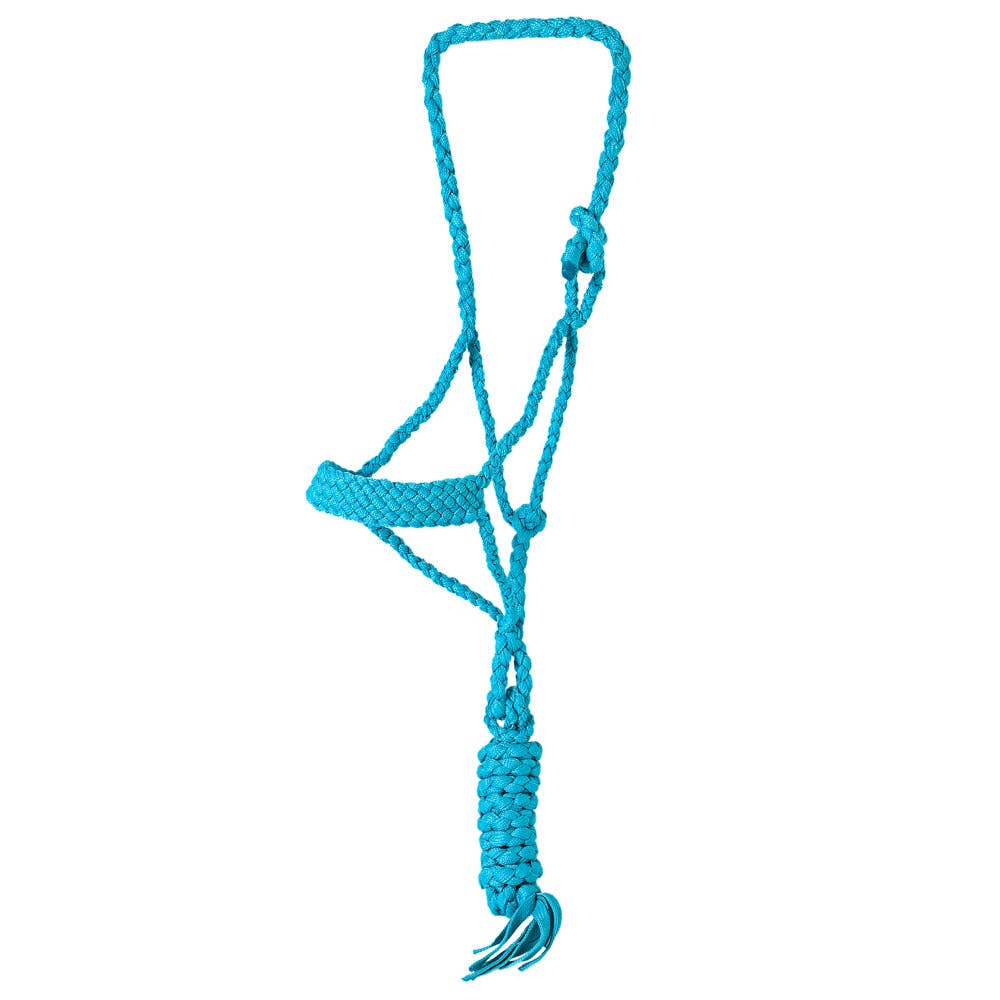 9 Ft Nylon Poly Flat Braided Mule Tape Halter And Lead Rope: Turquoise