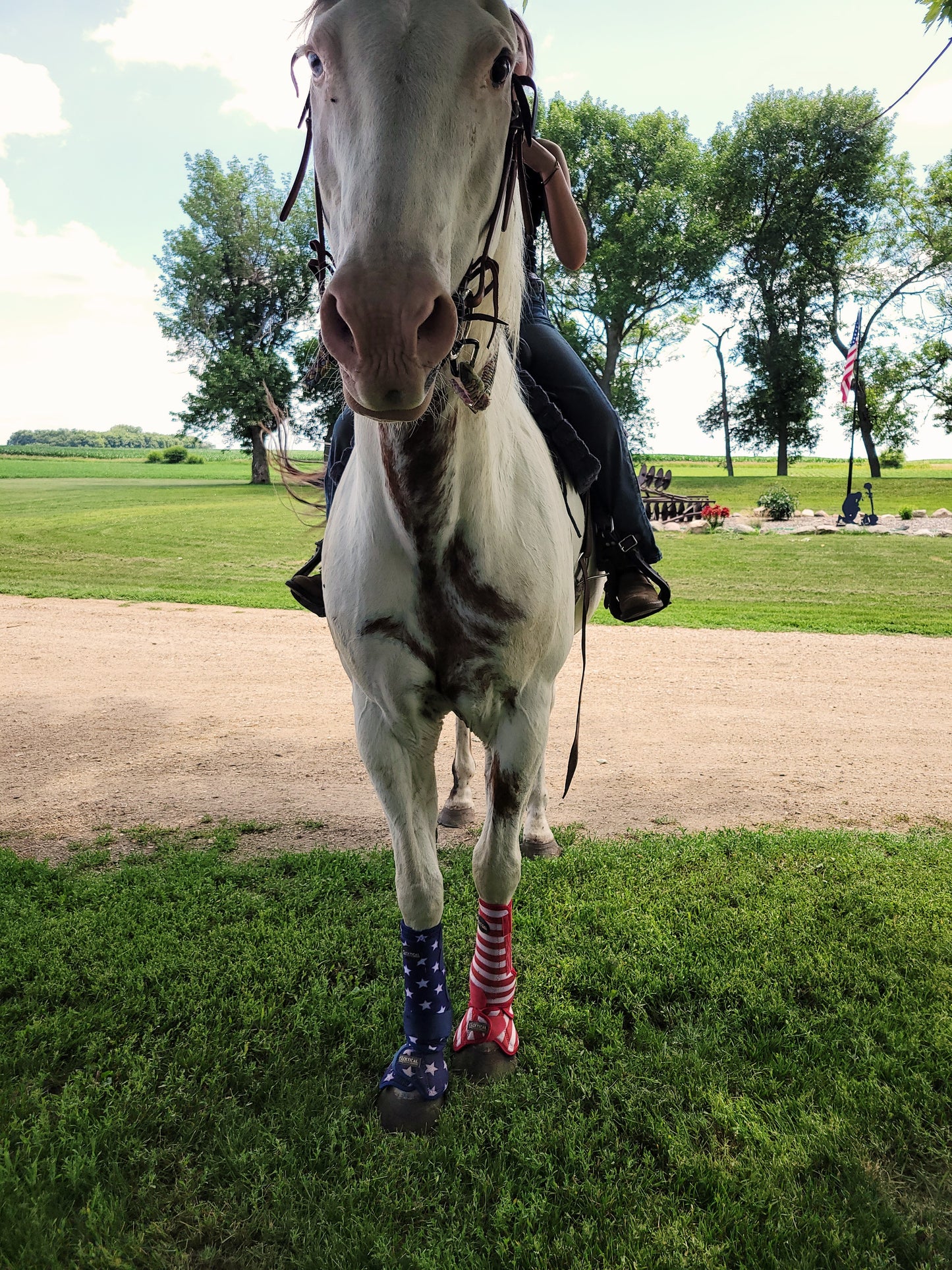 American Flag Splint Boots