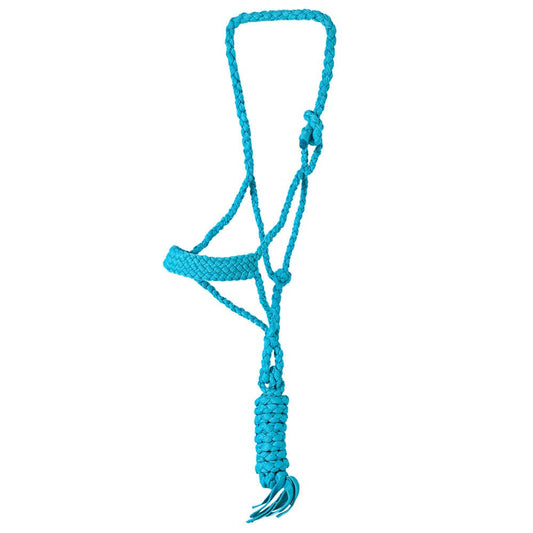 9 Ft Nylon Poly Flat Braided Mule Tape Halter And Lead  Rope: Turquoise